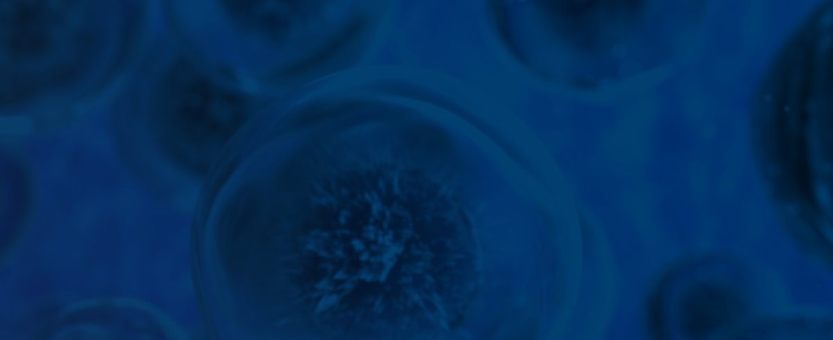 Novel Cancer Therapeutic